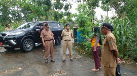 SERANGAN KERA EKOR PANJANG DI LAHAN JAGUNG KALURAHAN GIRISEKAR, WAKIL BUPATI PANTAU LOKASI