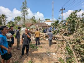 Pohon Randu Tumbang Timpa Warung Nasi Goreng di Mendak, Persoalan Diselesaikan Secara Kekeluargaan